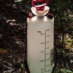 Translucent white pressure sprayer tank with a red pump handle and a litre scale, standing on bark mulch