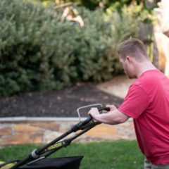 Young man in a red T-shirt pushing a black lawn mower along the edge of a garden lawn by a stone-edged bed