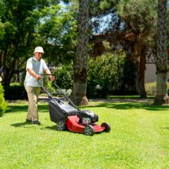 Older man in a sun hat pushing a red and black lawn mower across a bright green garden lawn, tall trees behind