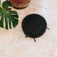 A black robot vacuum with side brushes on a tiled floor beside a plant