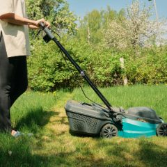 Person pushing a green and grey electric lawn mower with a grass box across a sunny spring lawn, blossom trees behind