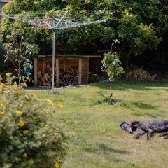 Grey rotary washing line on a sunny lawn by a log store, a dog asleep on the grass