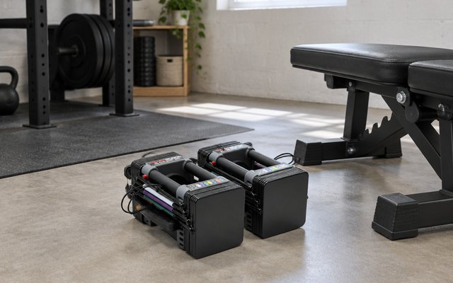 Pair of adjustable dumbbells, on the floor of a bright basement home gym beside a weight bench