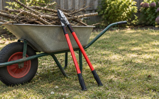 TABOR TOOLS anvil loppers, leaning against a wheelbarrow of dry branches in a backyard