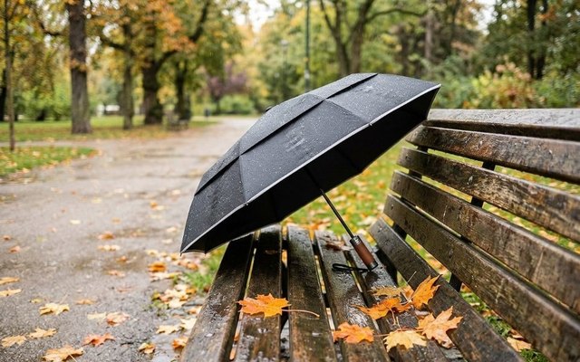 Black compact umbrella with a wooden handle open on a wet park bench scattered with autumn maple leaves
