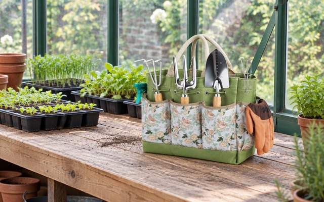 Grenebo garden tool set and tote bag, the tools standing in their tote bag on a wooden potting bench in a British greenhouse, seed trays of seedlings behind